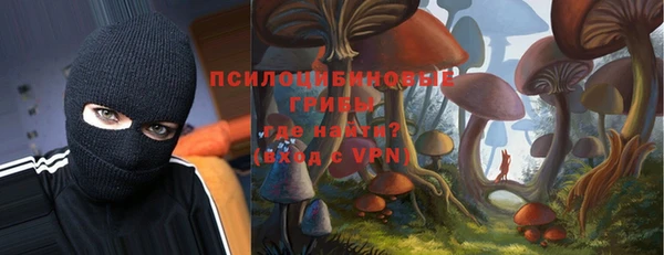 прущие крисы Абинск