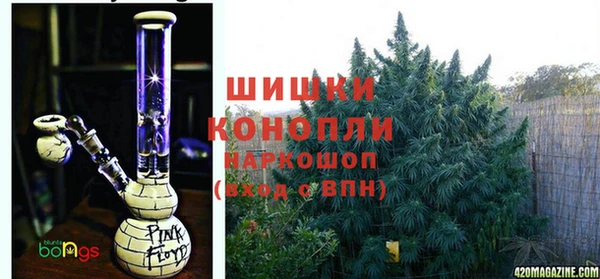 ГАЛЛЮЦИНОГЕННЫЕ ГРИБЫ Переславль-Залесский