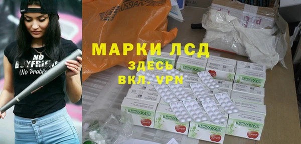 прущие грибы Алзамай