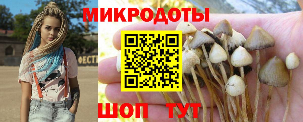 Краснодар  дарнет шоп  Вход с VPN  Галлюциногенные грибы прущие грибы  Галлюциногенные грибы GOLDEN TEACHER 