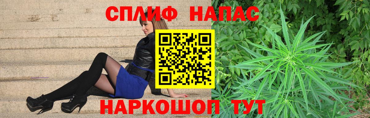 Бошки Шишки планчик Краснодар